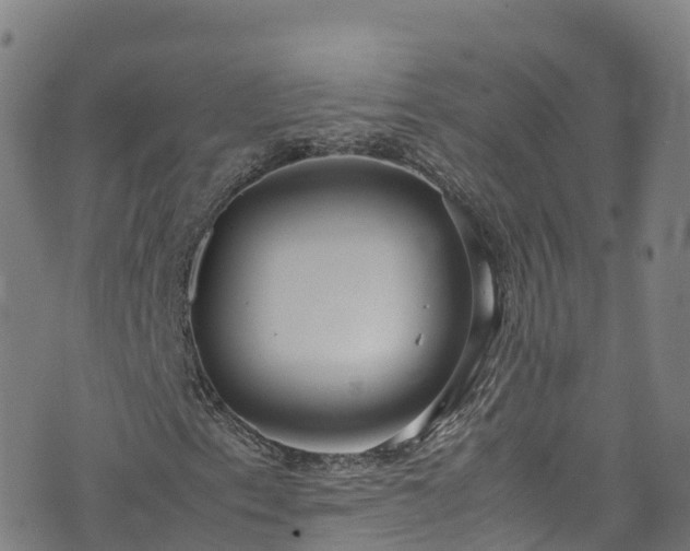 X0000072501153200607211242