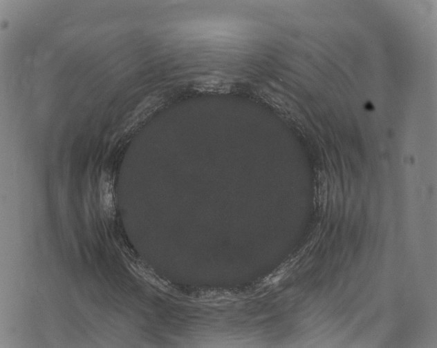 X0000072501154200607211242