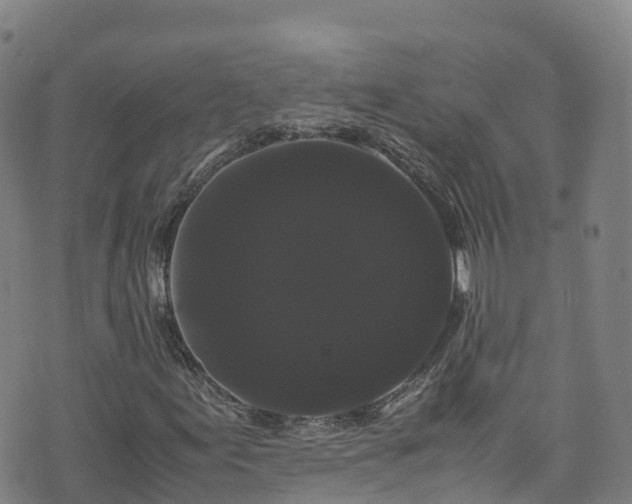 X0000072501155200607211242