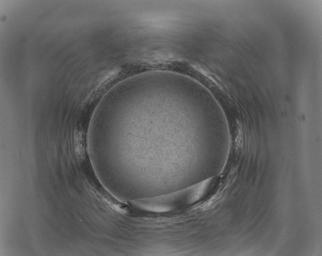 X0000072501156200607211242