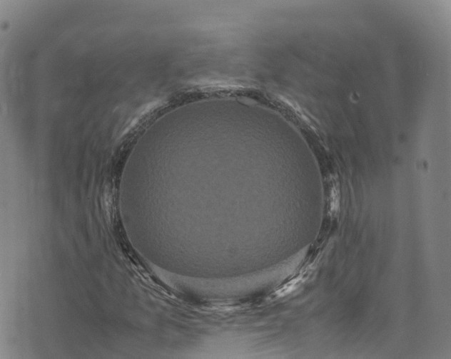 X0000072501157200607211242