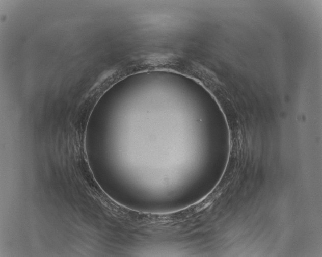 X0000072501158200607211242