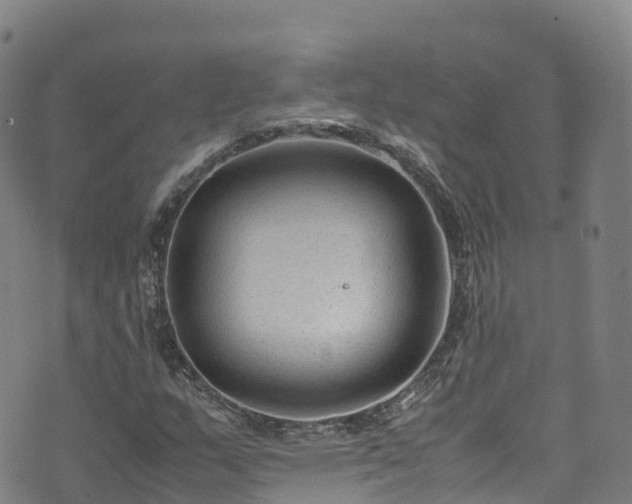 X0000072501159200607211242