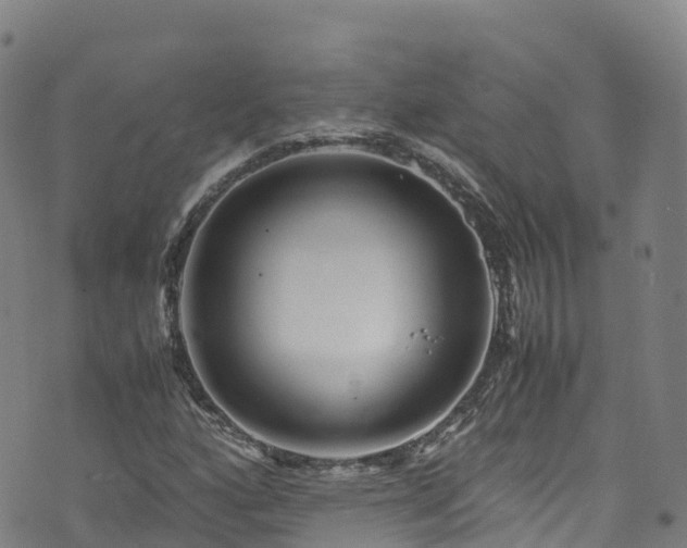 X0000072501160200607211242