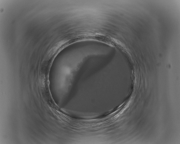 X0000072501161200607211242