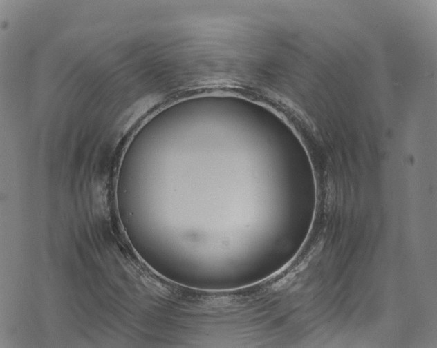 X0000072501162200607211242