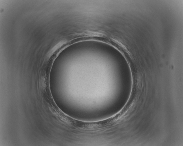 X0000072501163200607211242