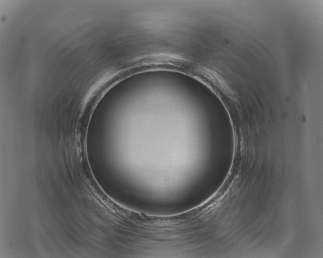 X0000072501164200607211242