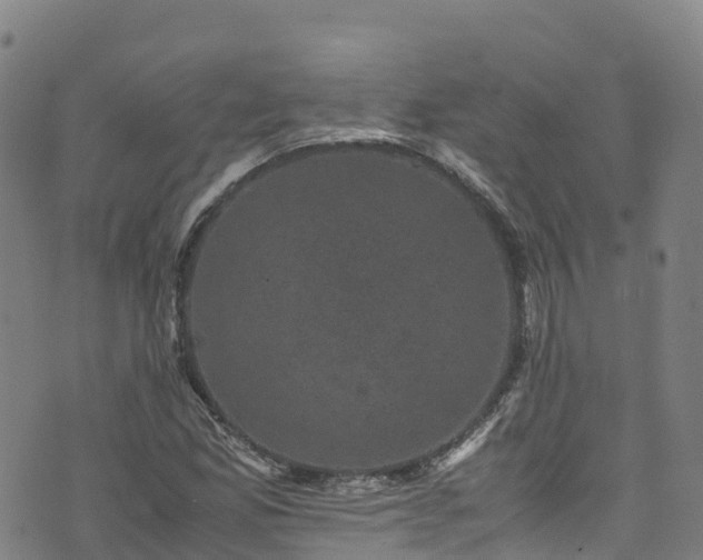 X0000072501165200607211242