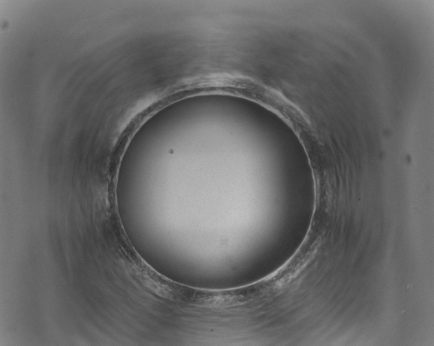 X0000072501166200607211242