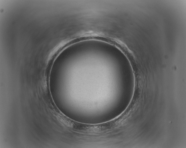 X0000072501167200607211242