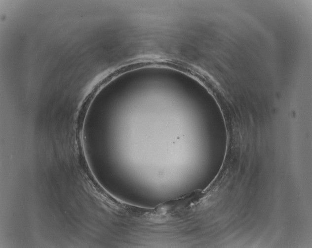 X0000072501168200607211242