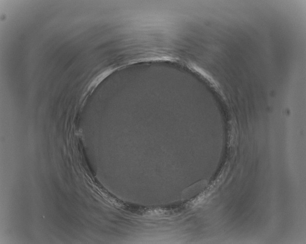 X0000072501169200607211242