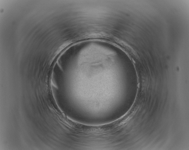 X0000072501170200607211242