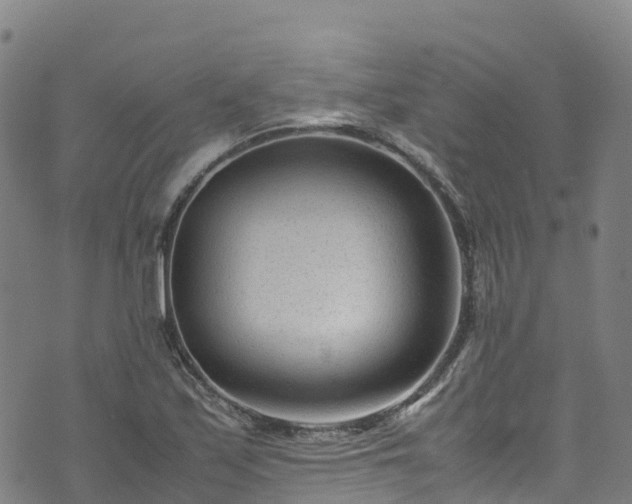 X0000072501171200607211242