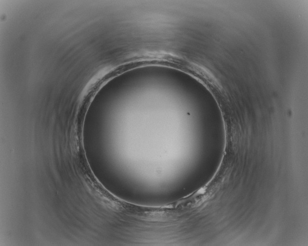 X0000072501172200607211242