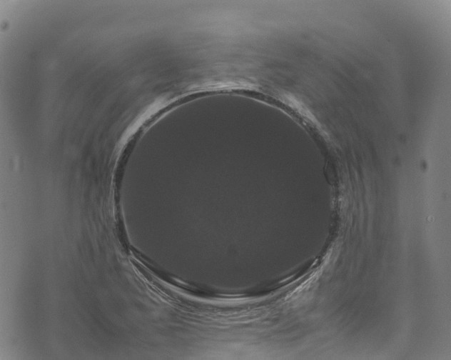 X0000072501173200607211242