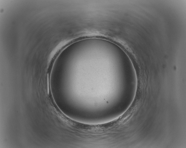 X0000072501175200607211242