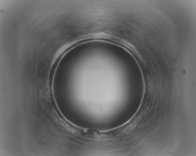 X0000072501176200607211242