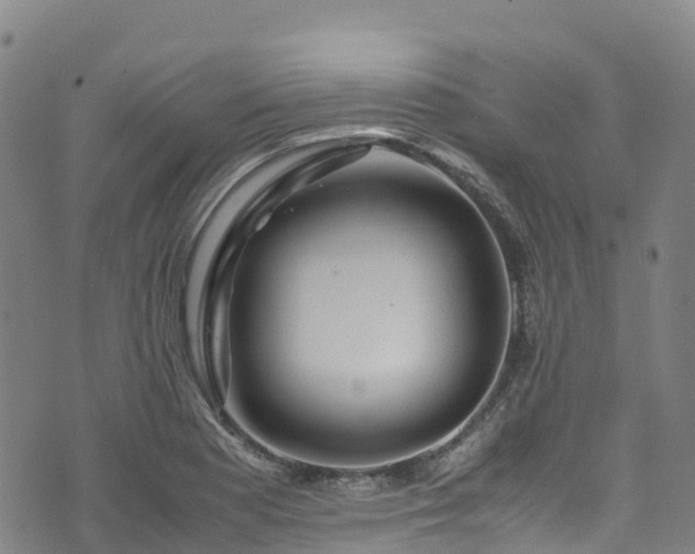 X0000072501177200607211242