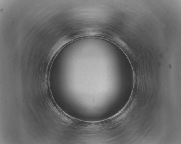 X0000072501178200607211242