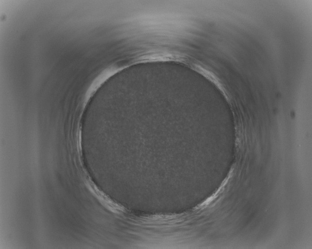 X0000072501179200607211242