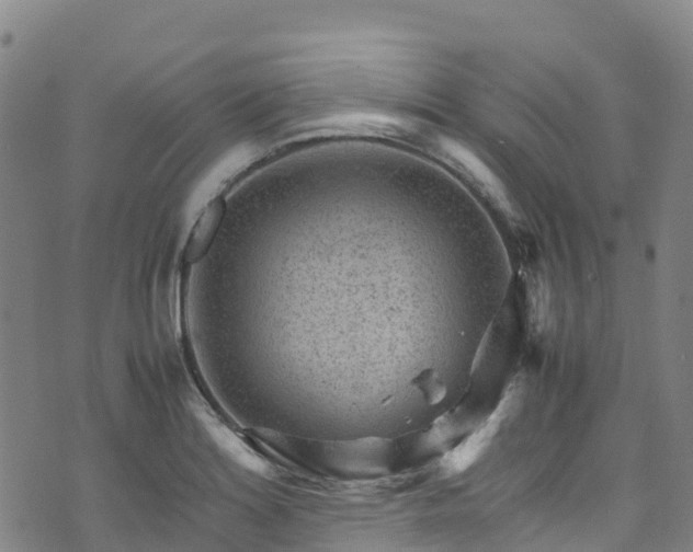 X0000072501180200607211242