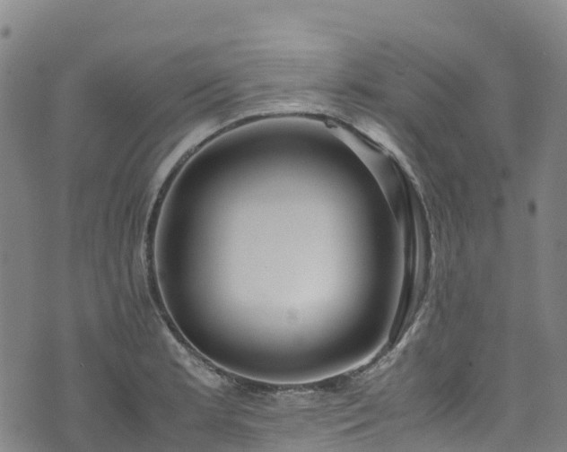 X0000072501181200607211242