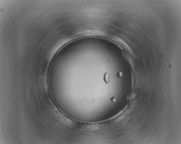 X0000072501182200607211242