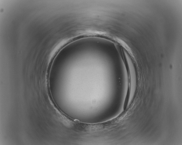 X0000072501183200607211242