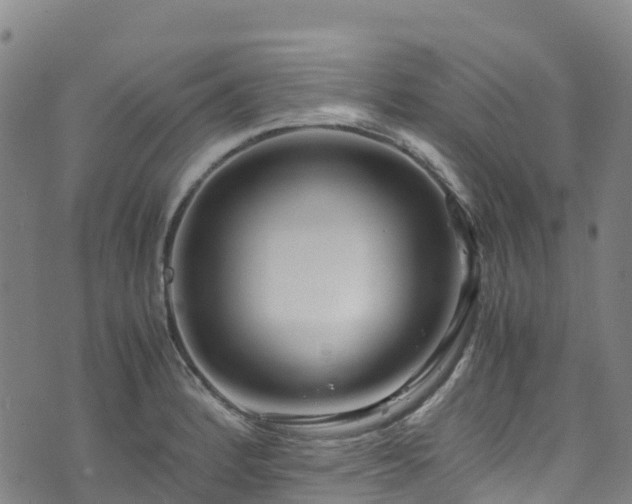 X0000072501184200607211242