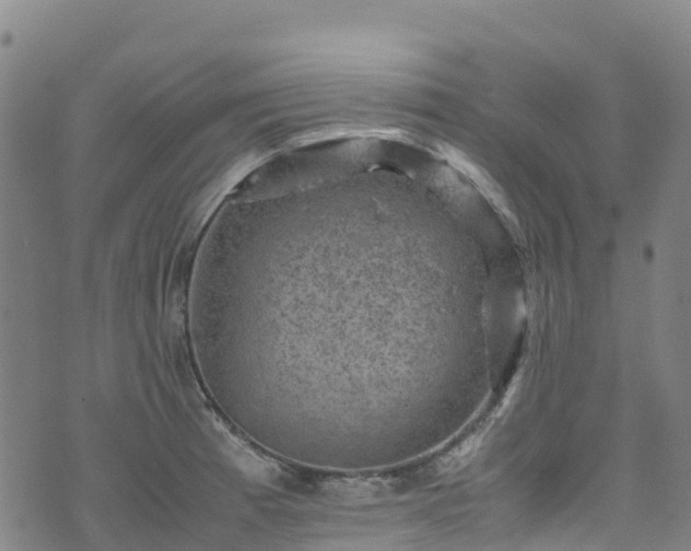 X0000072501185200607211242