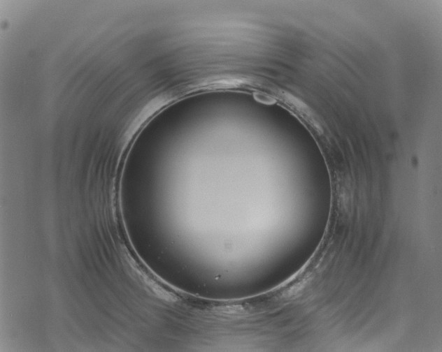 X0000072501186200607211242