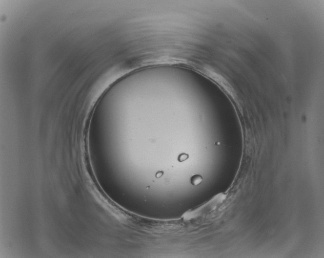 X0000072501187200607211242