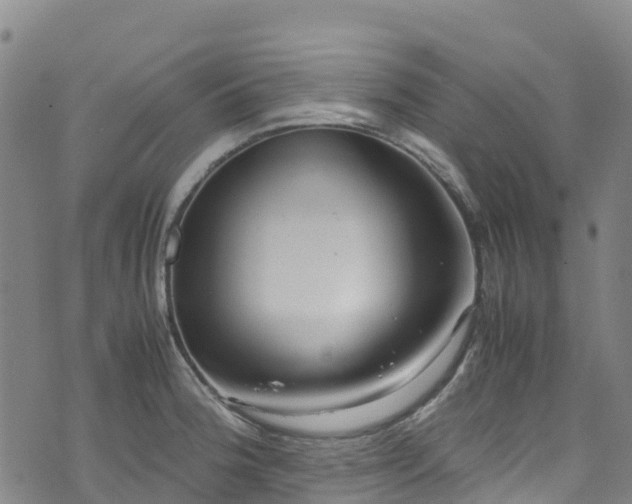 X0000072501188200607211241