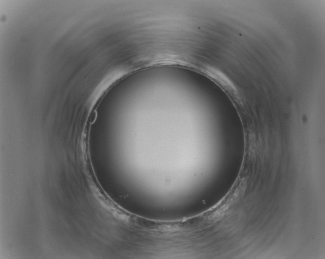 X0000072501190200607211241