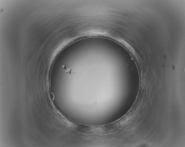 X0000072501191200607211241