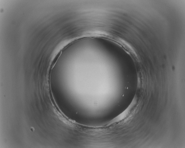 X0000072501192200607211241