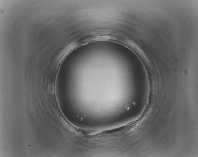 X0000072501193200607211241