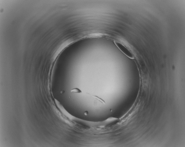 X0000072501194200607211241