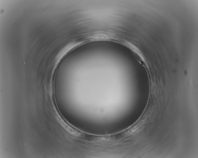 X0000072501195200607211241