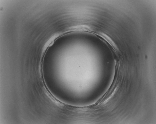 X0000072501196200607211241