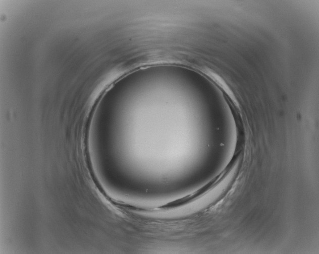 X0000072501197200607211241