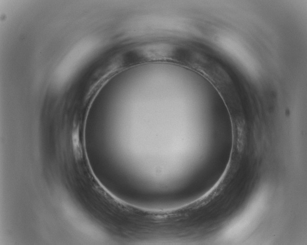 X0000072501198200607211241