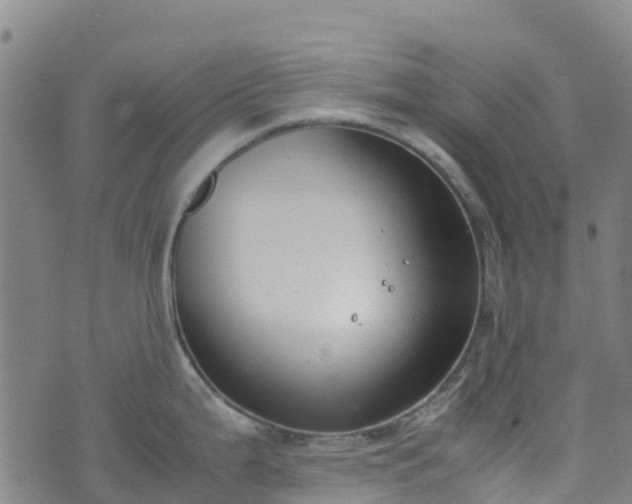 X0000072501199200607211241