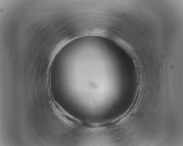 X0000072501200200607211241