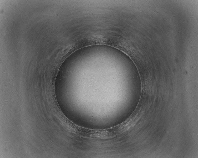 X0000072501201200607211240