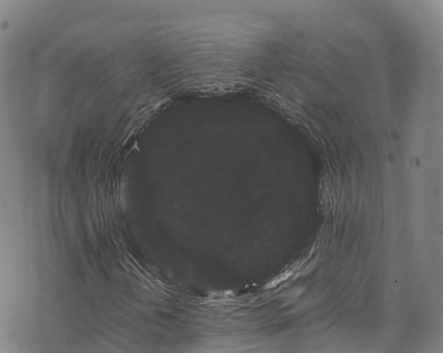 X0000072501202200607211241