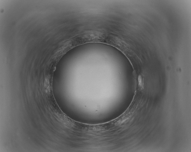 X0000072501203200607211241