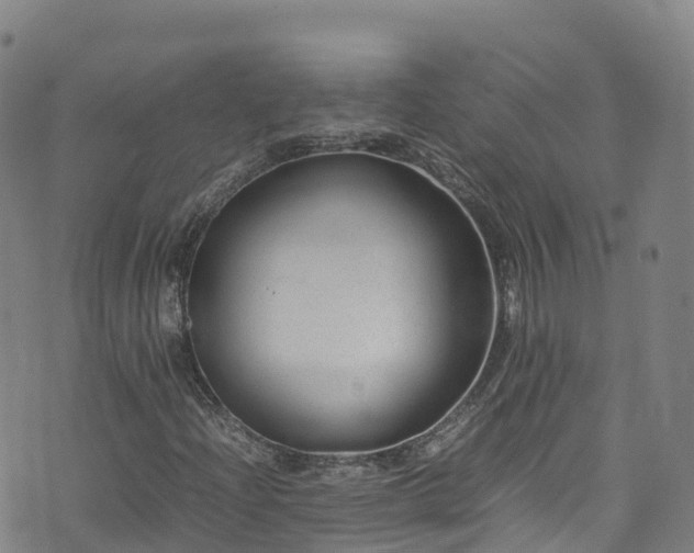 X0000072501204200607211241